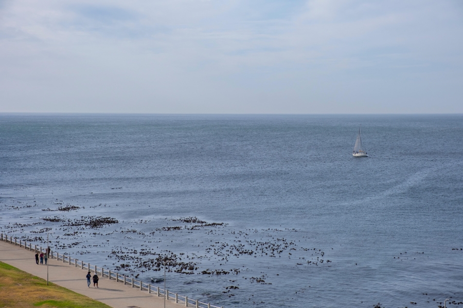 2 Bedroom Property for Sale in Mouille Point Western Cape